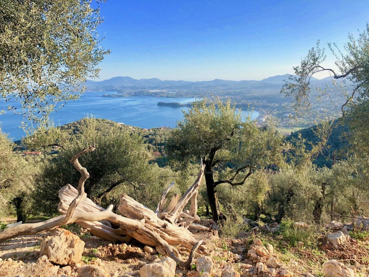 House Teigan Of Intaba Breath Taking Sea Views Corfiot Riviera Corfu Island Greece With Pool Close To Ipsos Dom wakacyjny *